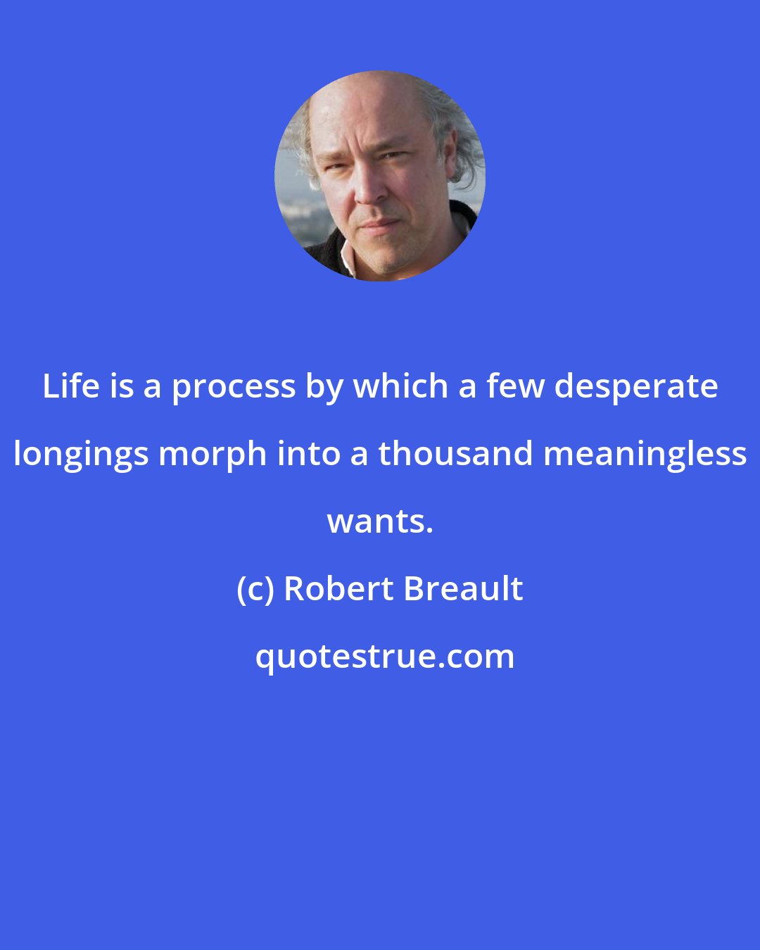 Robert Breault: Life is a process by which a few desperate longings morph into a thousand meaningless wants.