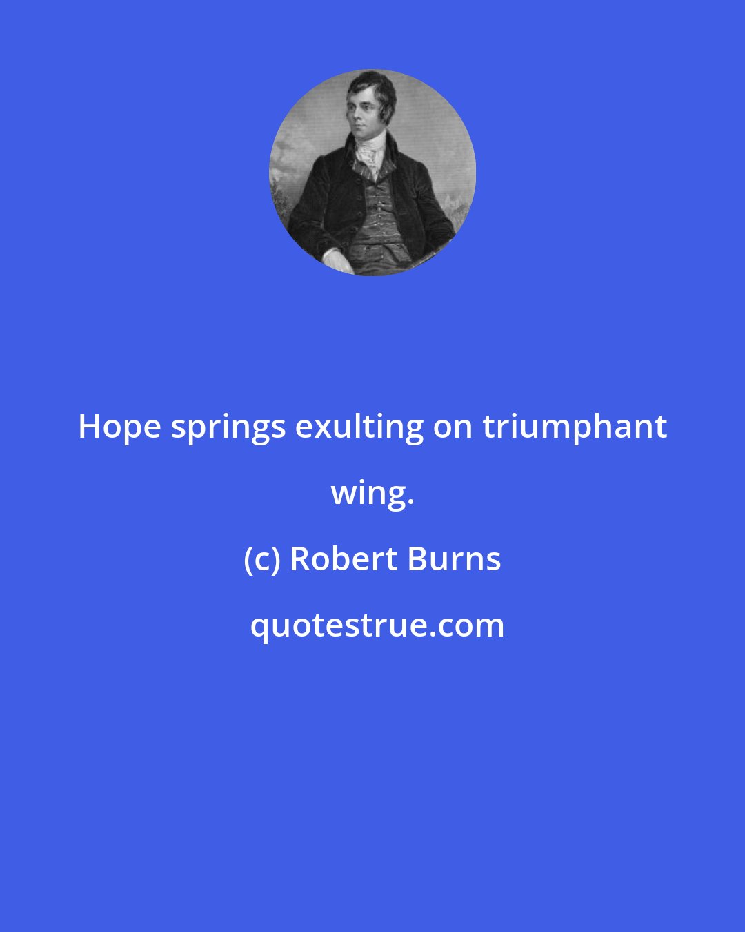 Robert Burns: Hope springs exulting on triumphant wing.