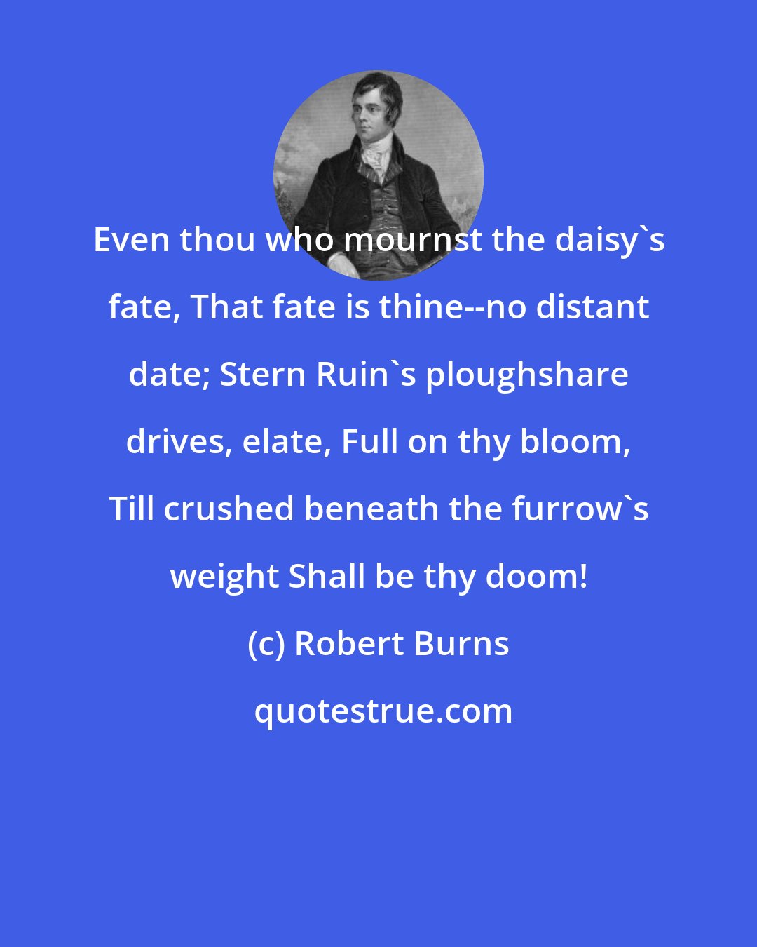 Robert Burns: Even thou who mournst the daisy's fate, That fate is thine--no distant date; Stern Ruin's ploughshare drives, elate, Full on thy bloom, Till crushed beneath the furrow's weight Shall be thy doom!