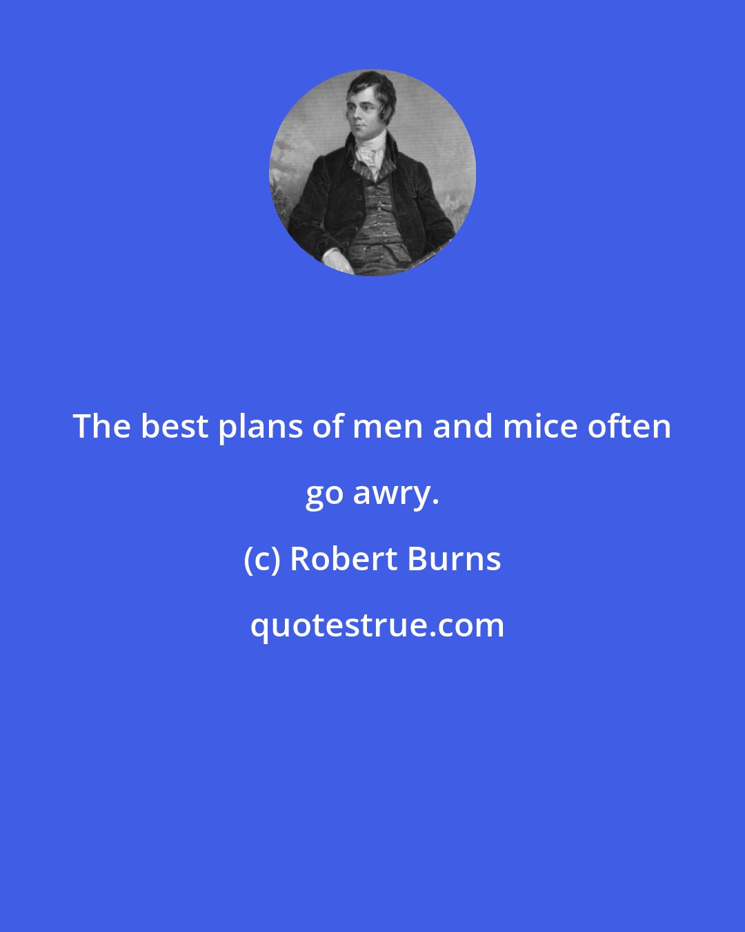 Robert Burns: The best plans of men and mice often go awry.