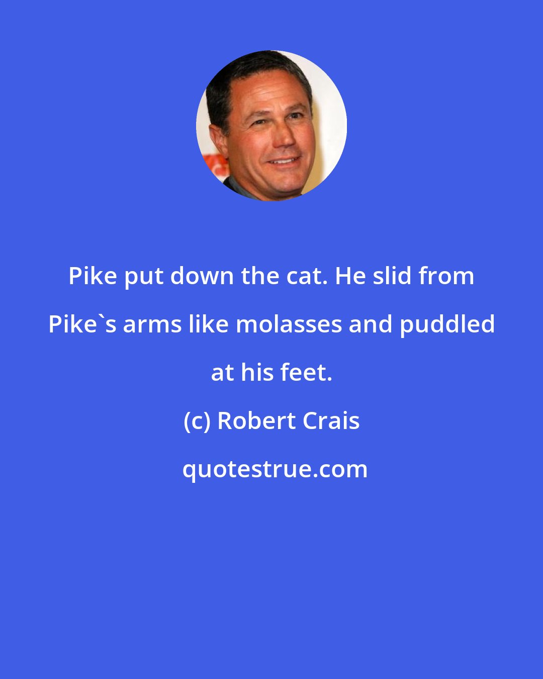 Robert Crais: Pike put down the cat. He slid from Pike's arms like molasses and puddled at his feet.