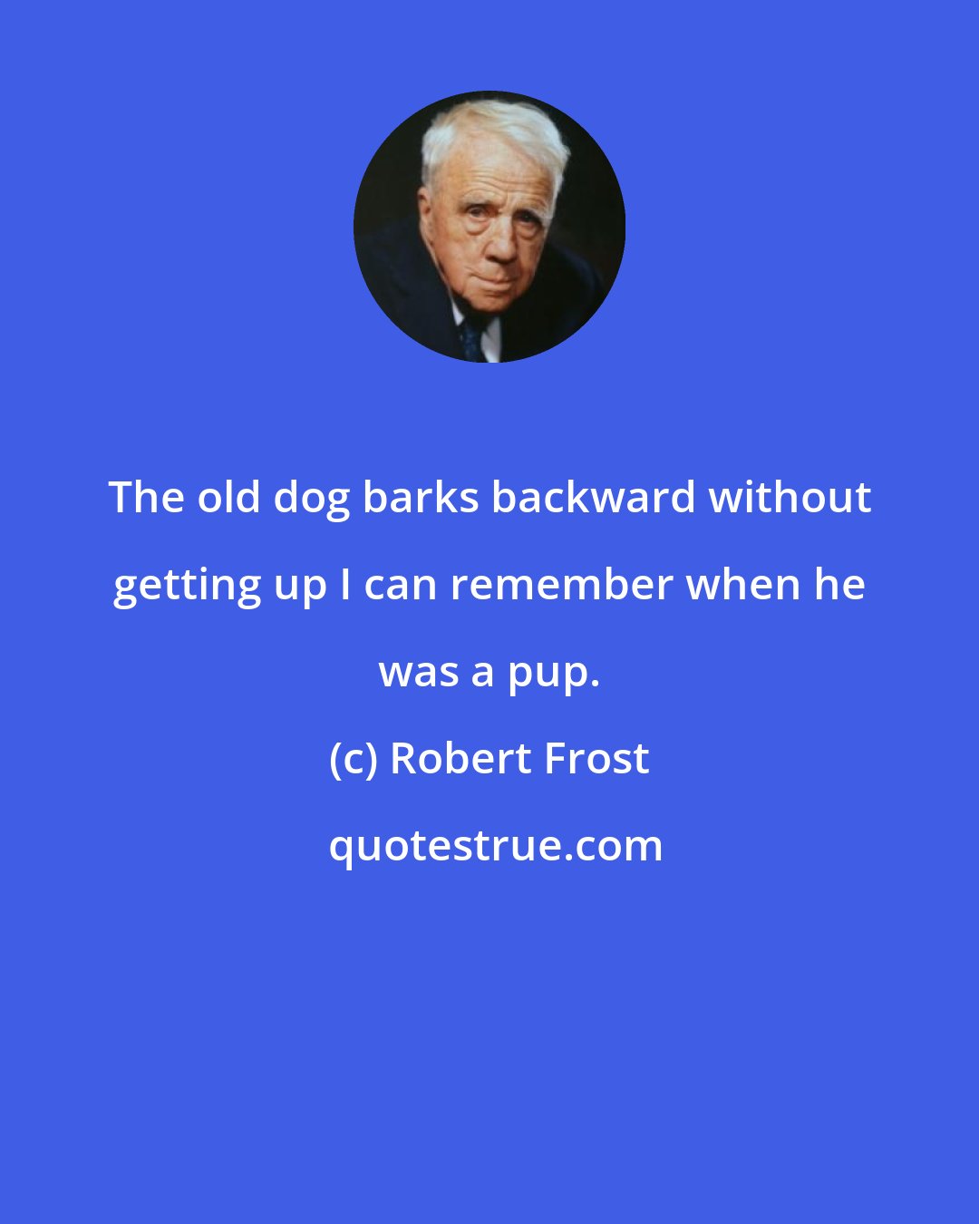 Robert Frost: The old dog barks backward without getting up I can remember when he was a pup.
