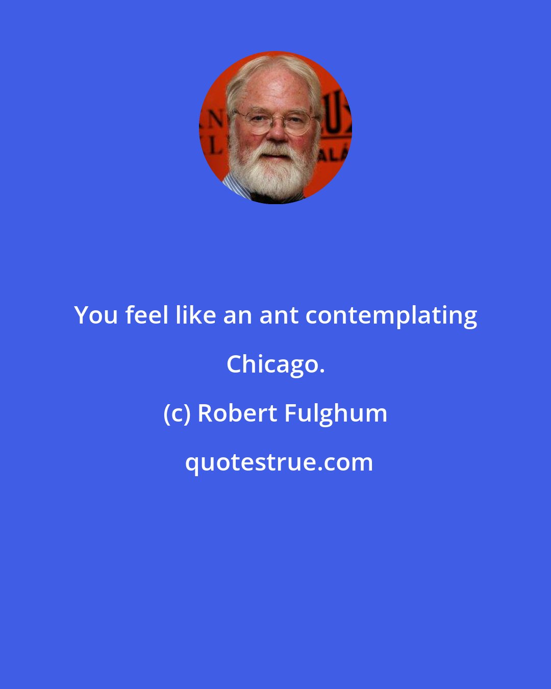 Robert Fulghum: You feel like an ant contemplating Chicago.