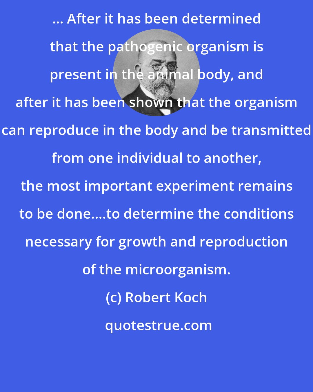 Robert Koch: ... After it has been determined that the pathogenic organism is present in the animal body, and after it has been shown that the organism can reproduce in the body and be transmitted from one individual to another, the most important experiment remains to be done....to determine the conditions necessary for growth and reproduction of the microorganism.