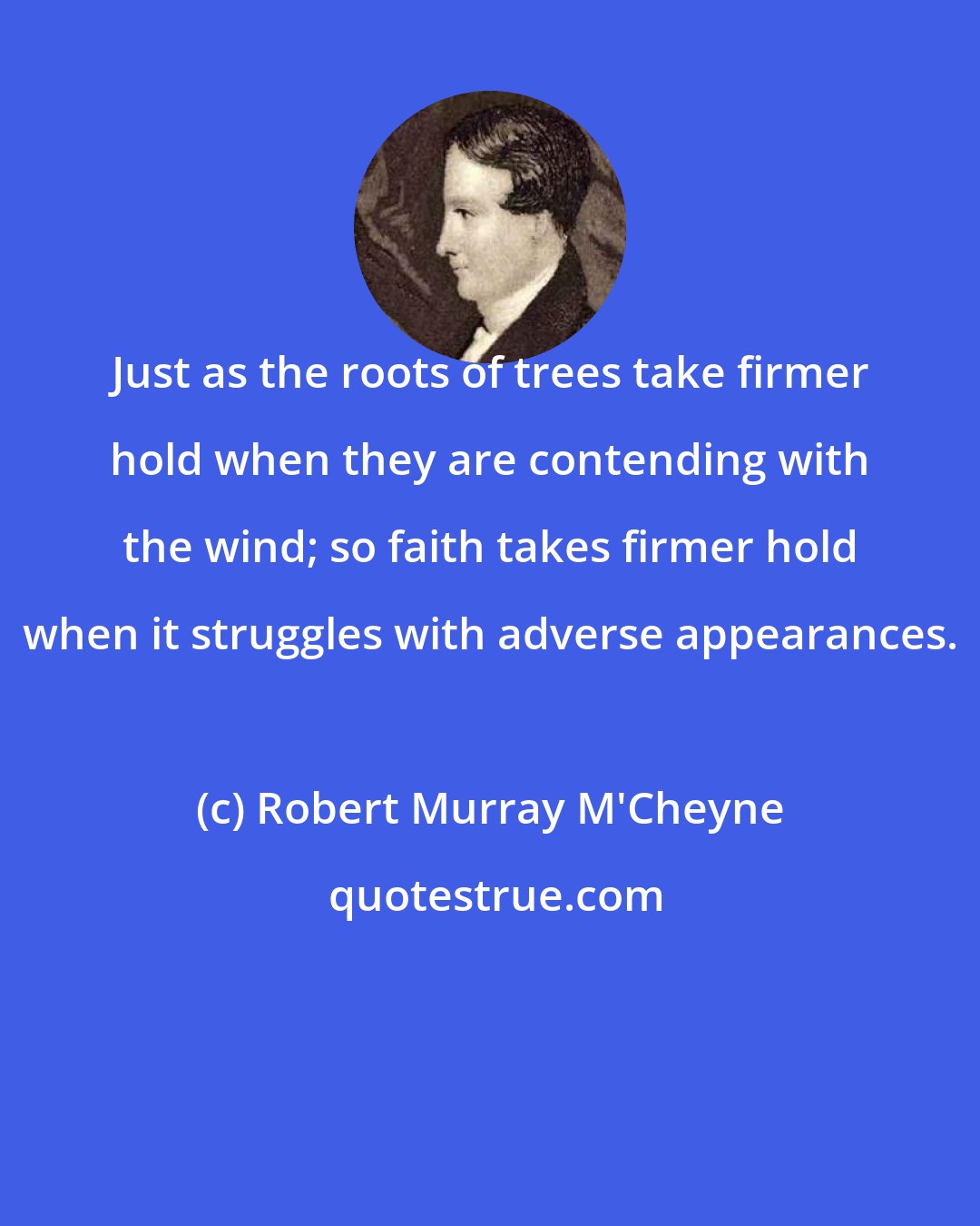 Robert Murray M'Cheyne: Just as the roots of trees take firmer hold when they are contending with the wind; so faith takes firmer hold when it struggles with adverse appearances.