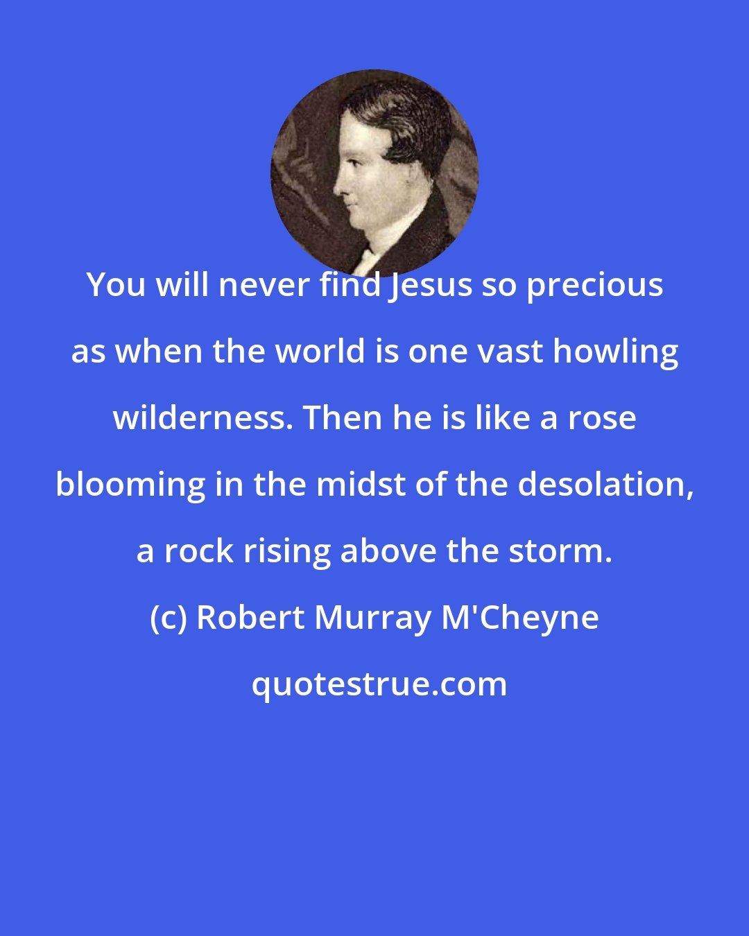 Robert Murray M'Cheyne: You will never find Jesus so precious as when the world is one vast howling wilderness. Then he is like a rose blooming in the midst of the desolation, a rock rising above the storm.