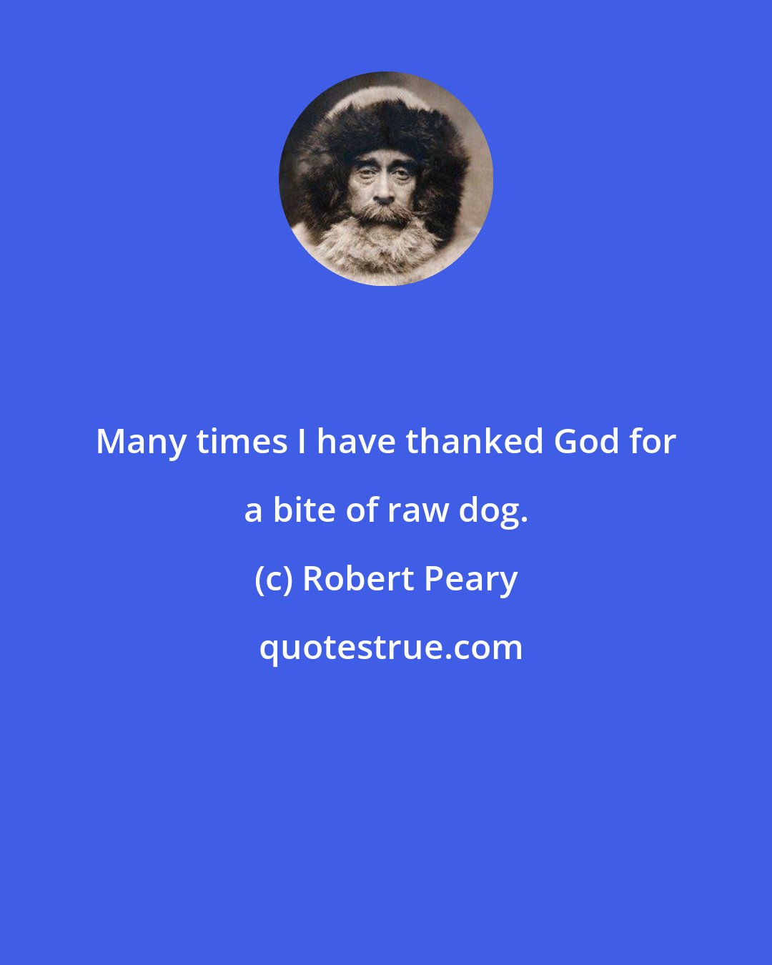 Robert Peary: Many times I have thanked God for a bite of raw dog.