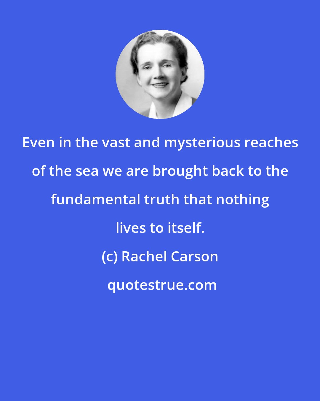 Rachel Carson: Even in the vast and mysterious reaches of the sea we are brought back to the fundamental truth that nothing lives to itself.