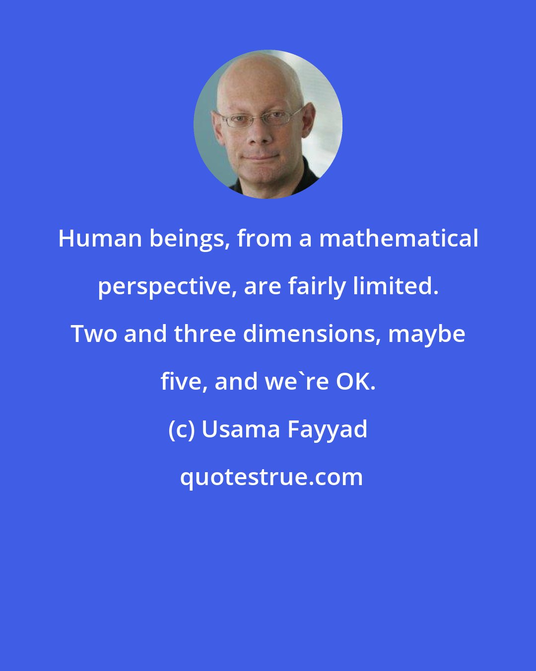 Usama Fayyad: Human beings, from a mathematical perspective, are fairly limited. Two and three dimensions, maybe five, and we're OK.