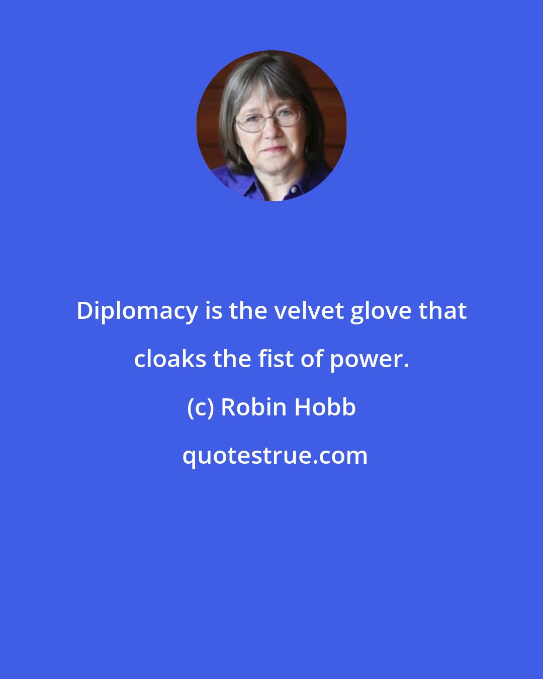 Robin Hobb: Diplomacy is the velvet glove that cloaks the fist of power.