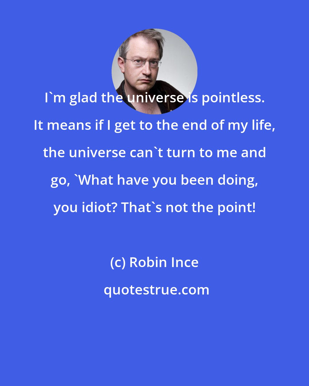 Robin Ince: I'm glad the universe is pointless. It means if I get to the end of my life, the universe can't turn to me and go, 'What have you been doing, you idiot? That's not the point!