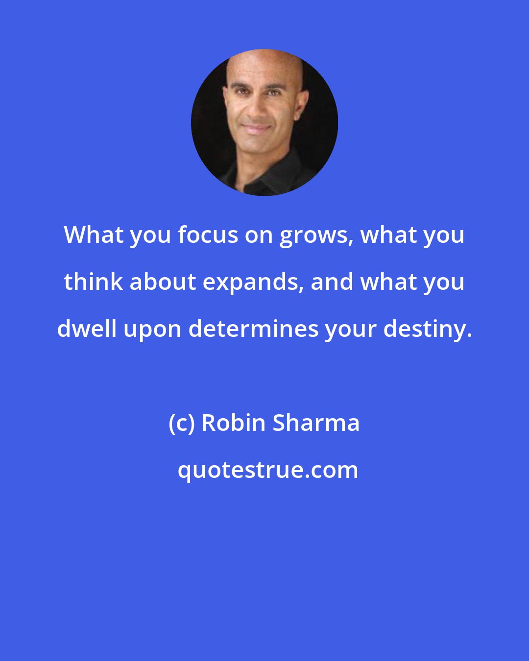 Robin Sharma: What you focus on grows, what you think about expands, and what you dwell upon determines your destiny.