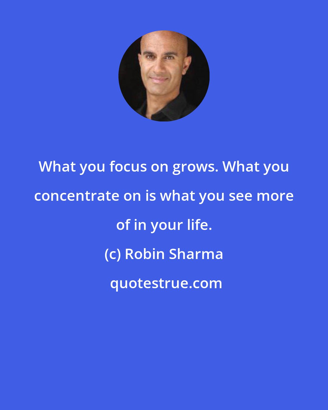 Robin Sharma: What you focus on grows. What you concentrate on is what you see more of in your life.