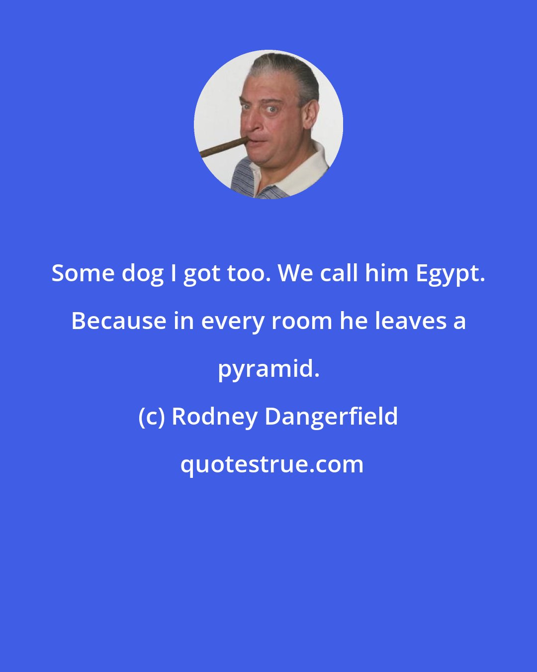 Rodney Dangerfield: Some dog I got too. We call him Egypt. Because in every room he leaves a pyramid.