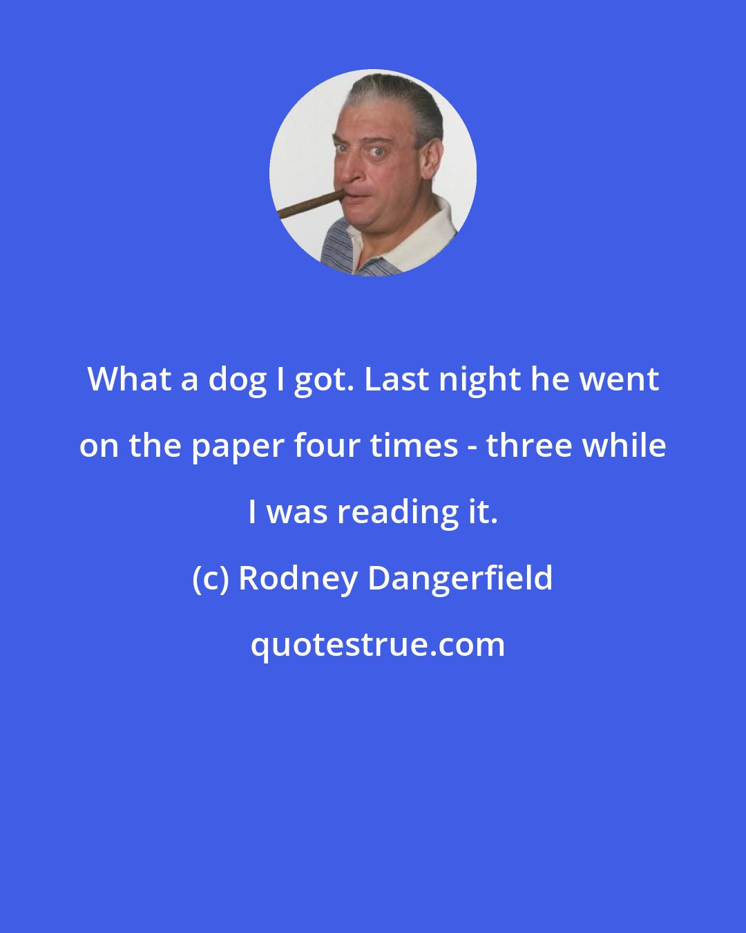 Rodney Dangerfield: What a dog I got. Last night he went on the paper four times - three while I was reading it.