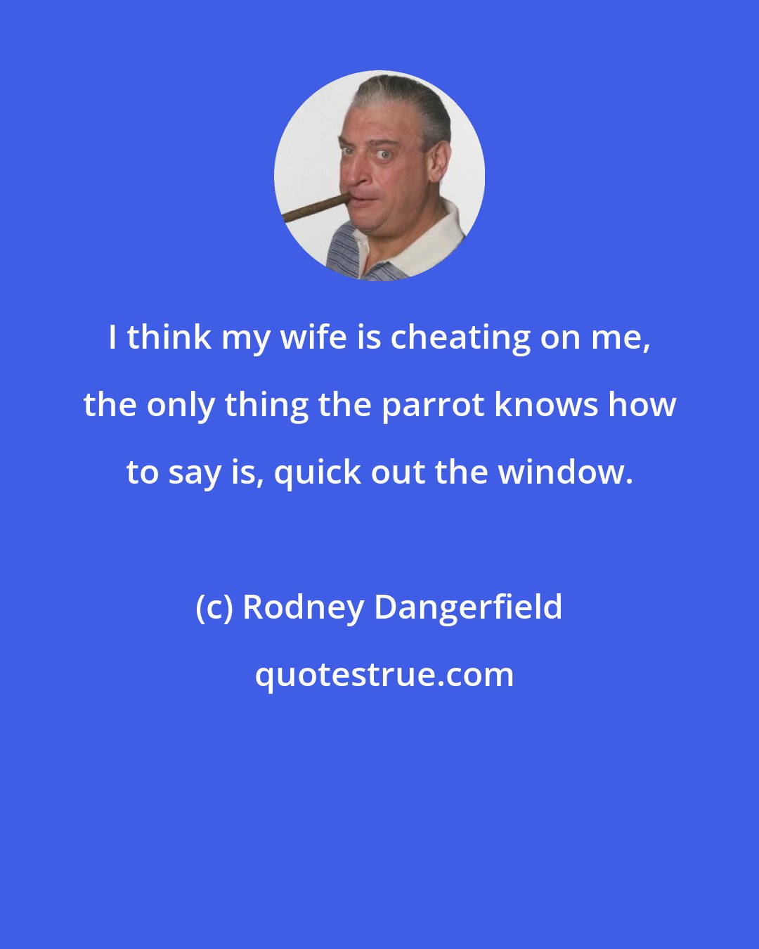 Rodney Dangerfield: I think my wife is cheating on me, the only thing the parrot knows how to say is, quick out the window.