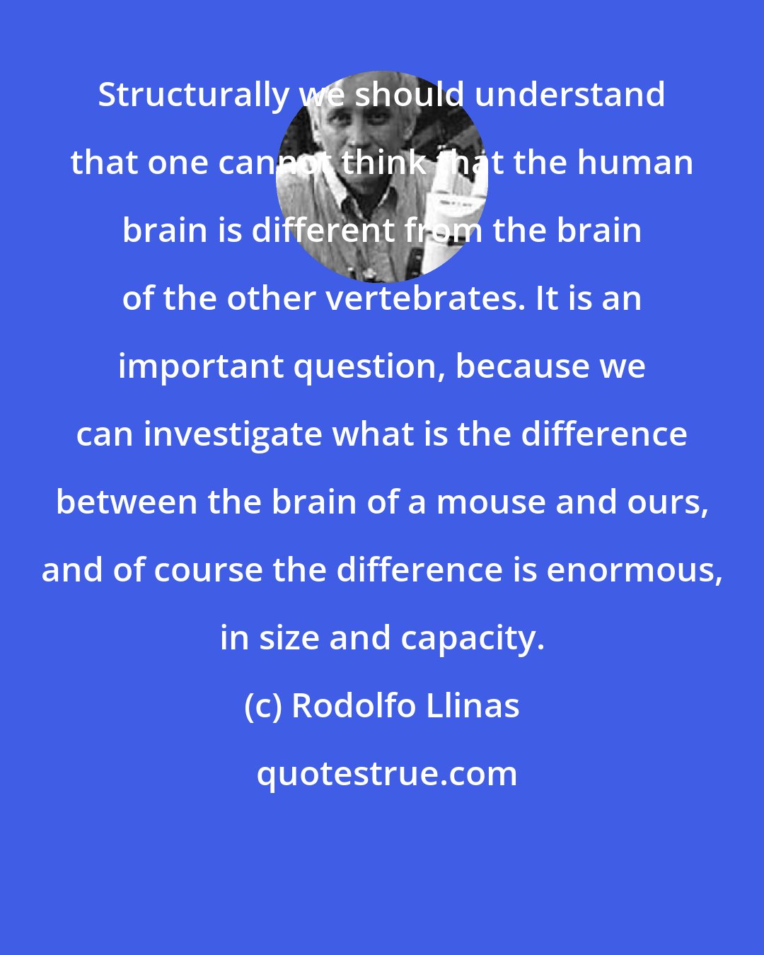 Rodolfo Llinas: Structurally we should understand that one cannot think that the human brain is different from the brain of the other vertebrates. It is an important question, because we can investigate what is the difference between the brain of a mouse and ours, and of course the difference is enormous, in size and capacity.