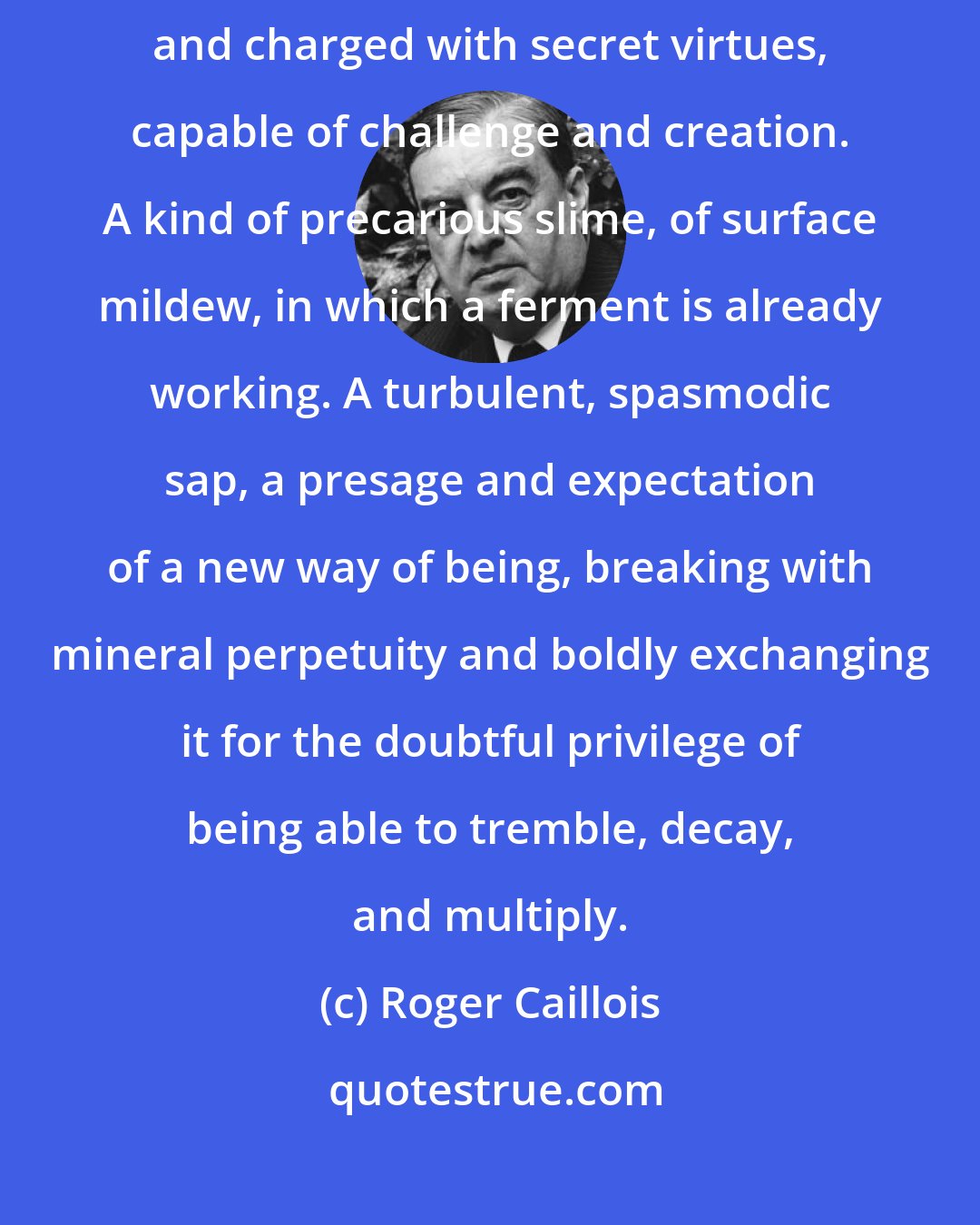 Roger Caillois: Life appears: a complex dampness, destined to an intricate future and charged with secret virtues, capable of challenge and creation. A kind of precarious slime, of surface mildew, in which a ferment is already working. A turbulent, spasmodic sap, a presage and expectation of a new way of being, breaking with mineral perpetuity and boldly exchanging it for the doubtful privilege of being able to tremble, decay, and multiply.