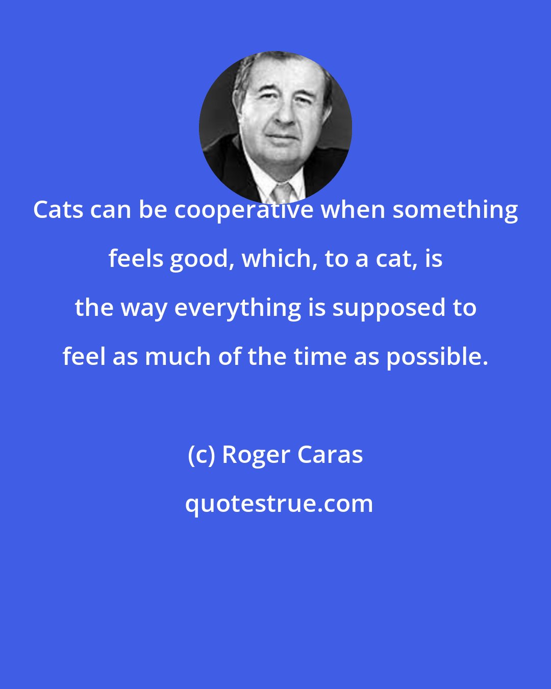 Roger Caras: Cats can be cooperative when something feels good, which, to a cat, is the way everything is supposed to feel as much of the time as possible.