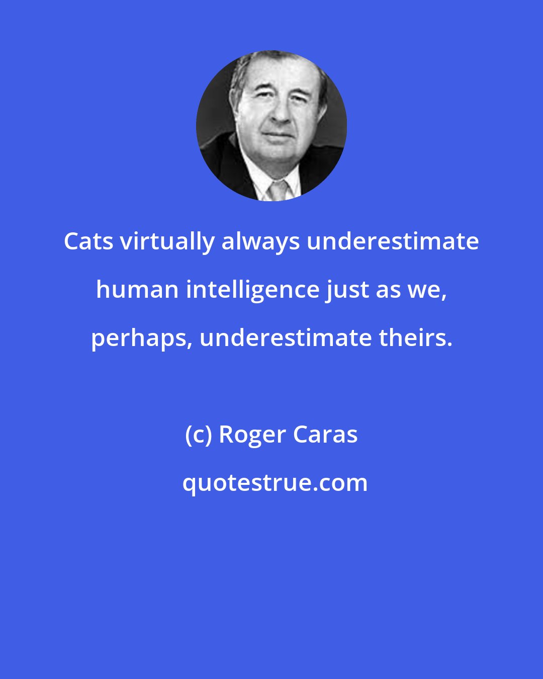 Roger Caras: Cats virtually always underestimate human intelligence just as we, perhaps, underestimate theirs.