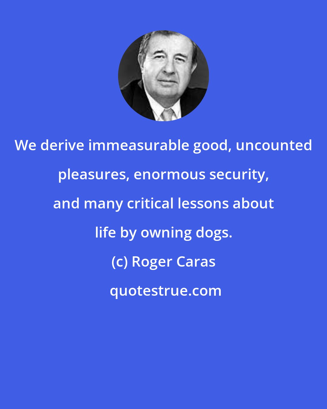 Roger Caras: We derive immeasurable good, uncounted pleasures, enormous security, and many critical lessons about life by owning dogs.