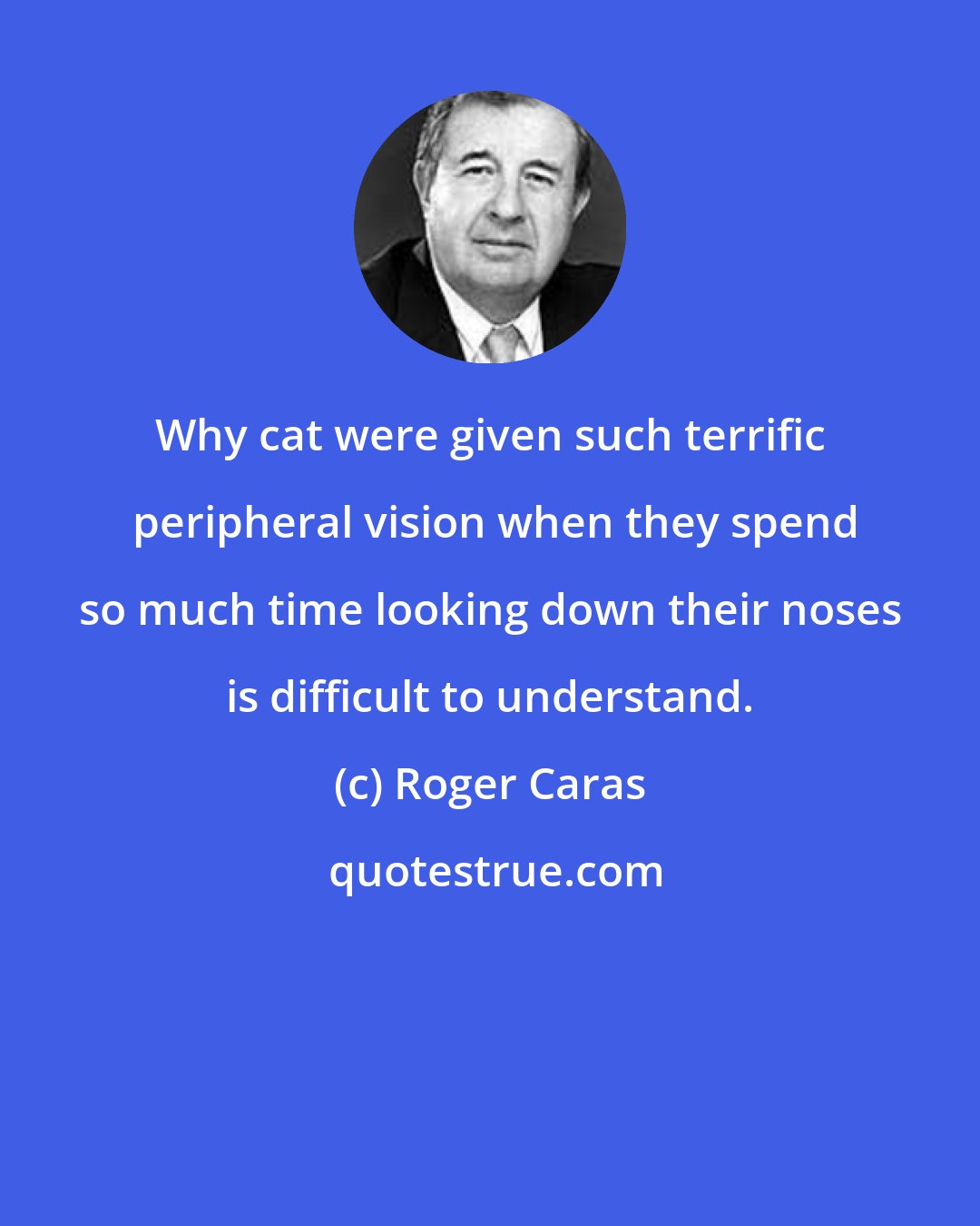 Roger Caras: Why cat were given such terrific  peripheral vision when they spend so much time looking down their noses is difficult to understand.