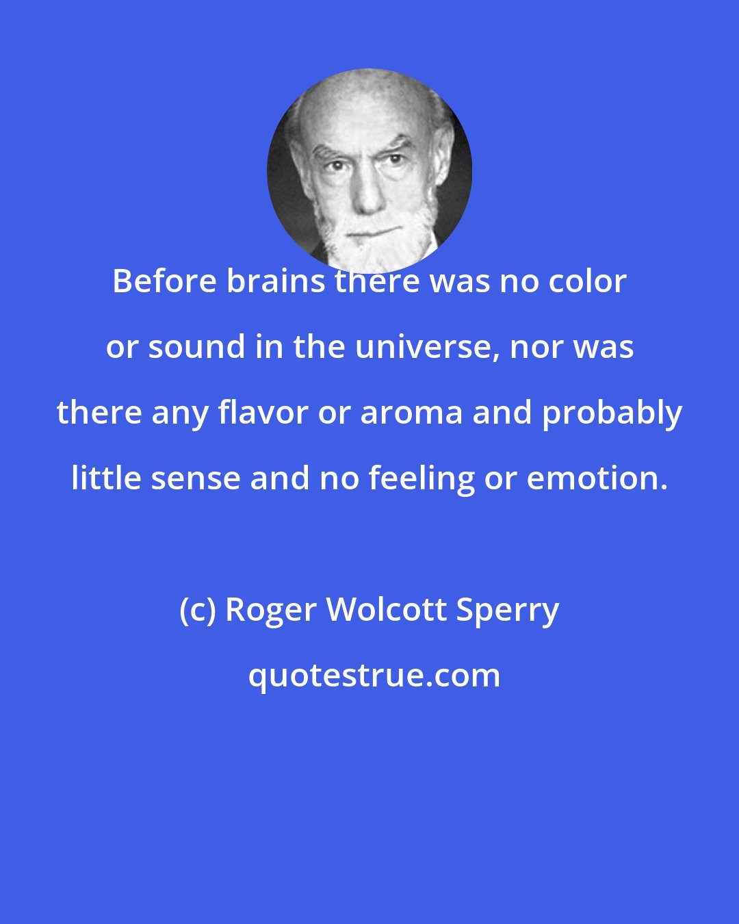 Roger Wolcott Sperry: Before brains there was no color or sound in the universe, nor was there any flavor or aroma and probably little sense and no feeling or emotion.