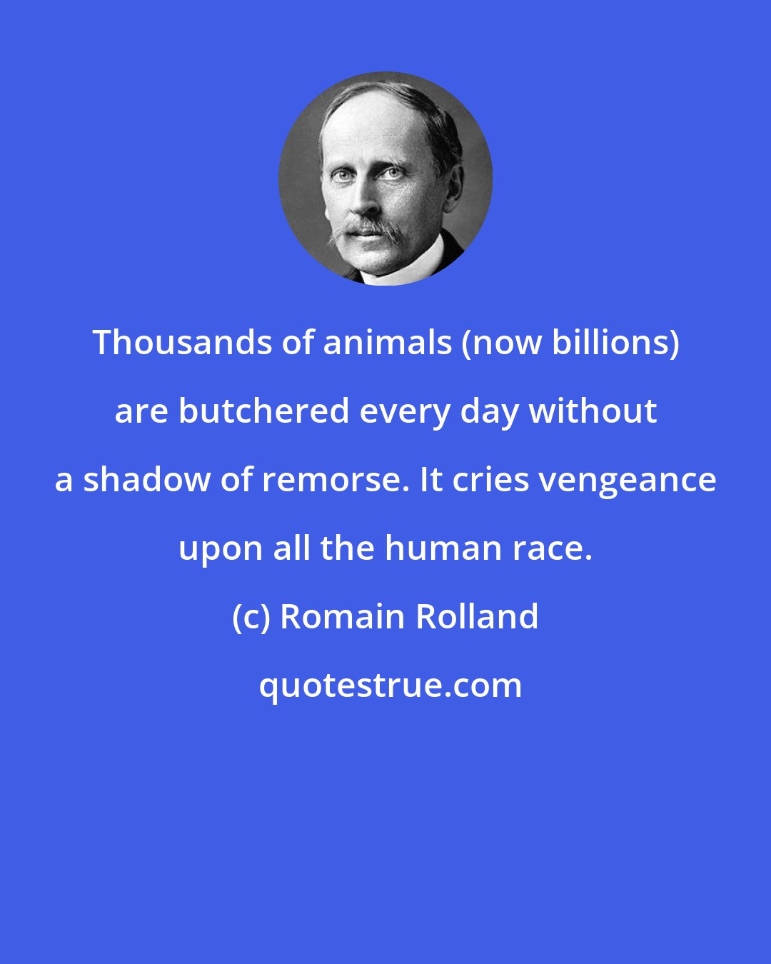 Romain Rolland: Thousands of animals (now billions) are butchered every day without a shadow of remorse. It cries vengeance upon all the human race.