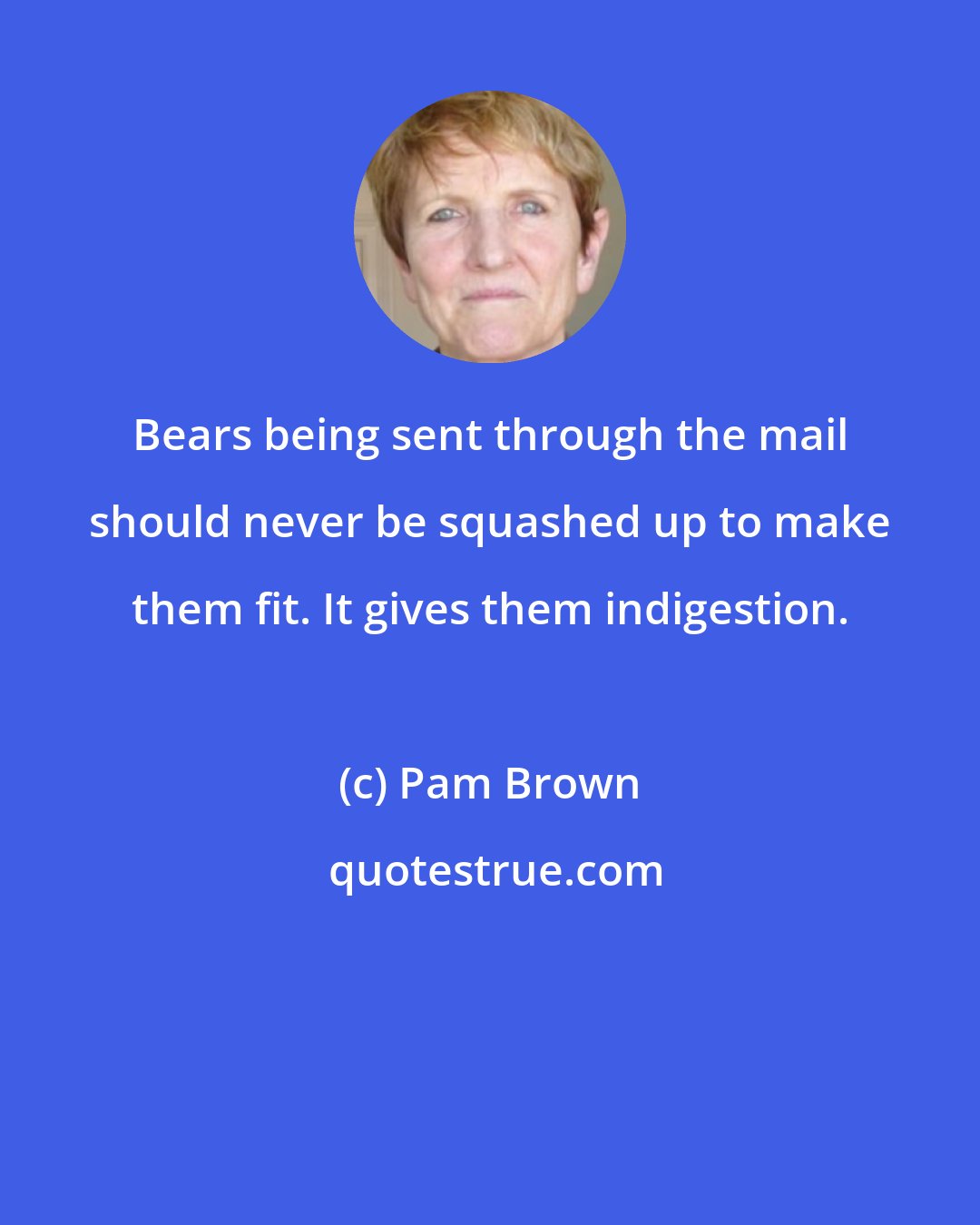 Pam Brown: Bears being sent through the mail should never be squashed up to make them fit. It gives them indigestion.