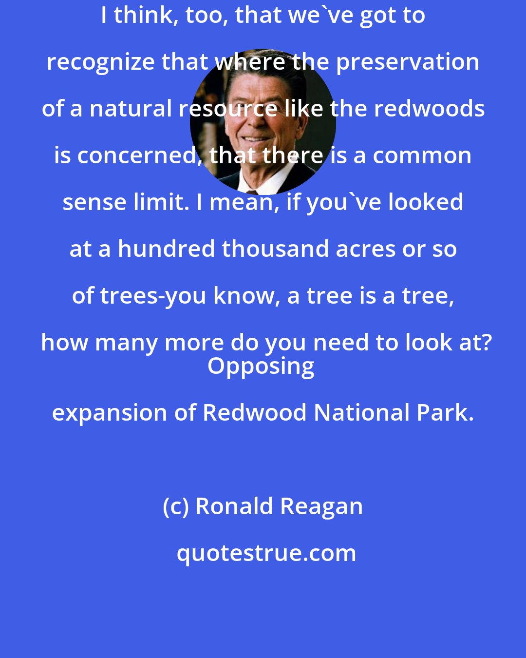 Ronald Reagan: I think, too, that we've got to recognize that where the preservation of a natural resource like the redwoods is concerned, that there is a common sense limit. I mean, if you've looked at a hundred thousand acres or so of trees-you know, a tree is a tree, how many more do you need to look at?
Opposing expansion of Redwood National Park.