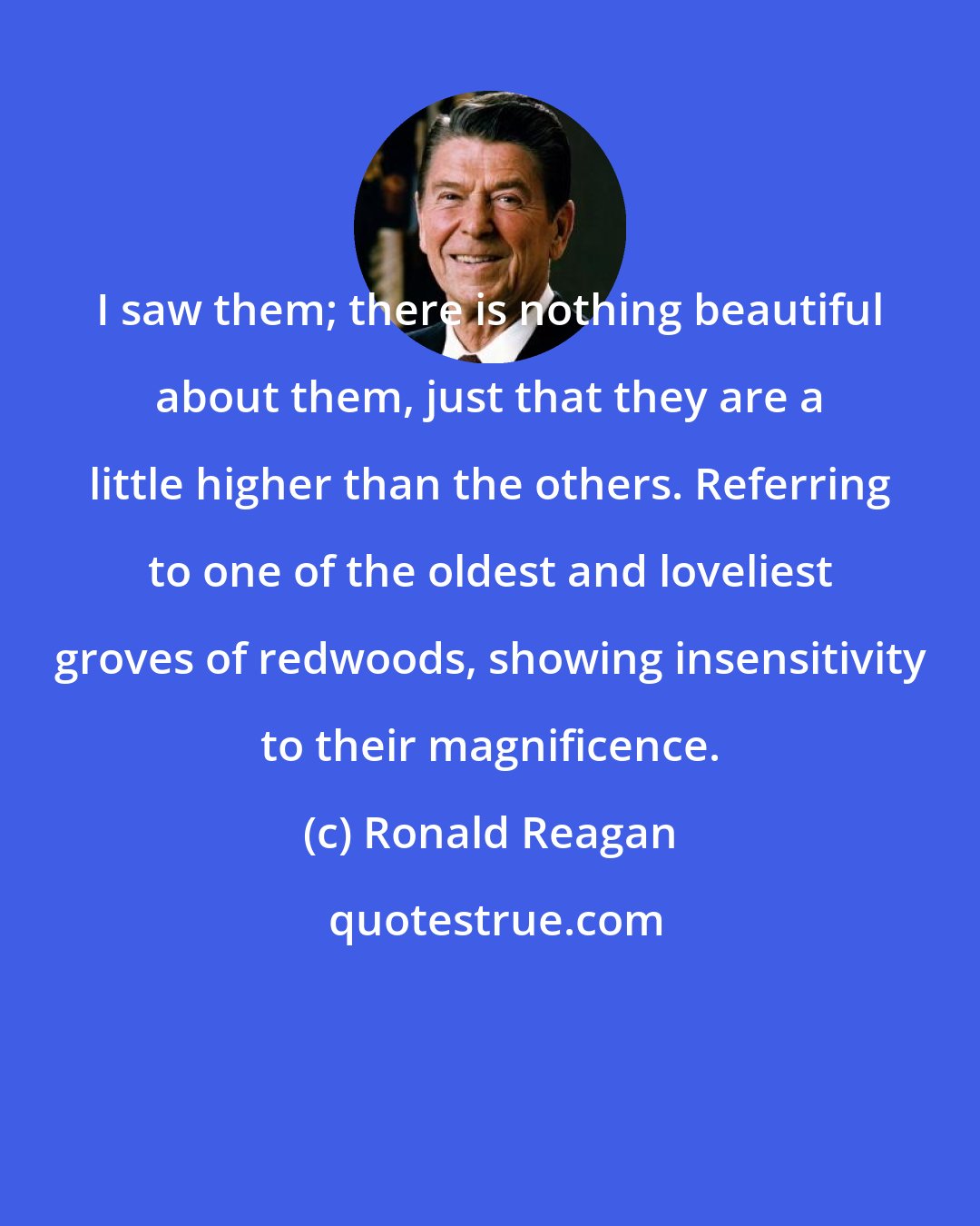 Ronald Reagan: I saw them; there is nothing beautiful about them, just that they are a little higher than the others. Referring to one of the oldest and loveliest groves of redwoods, showing insensitivity to their magnificence.