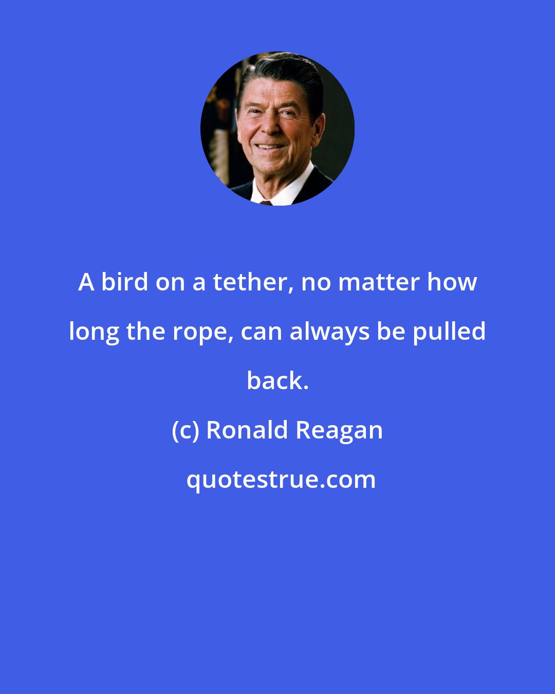 Ronald Reagan: A bird on a tether, no matter how long the rope, can always be pulled back.