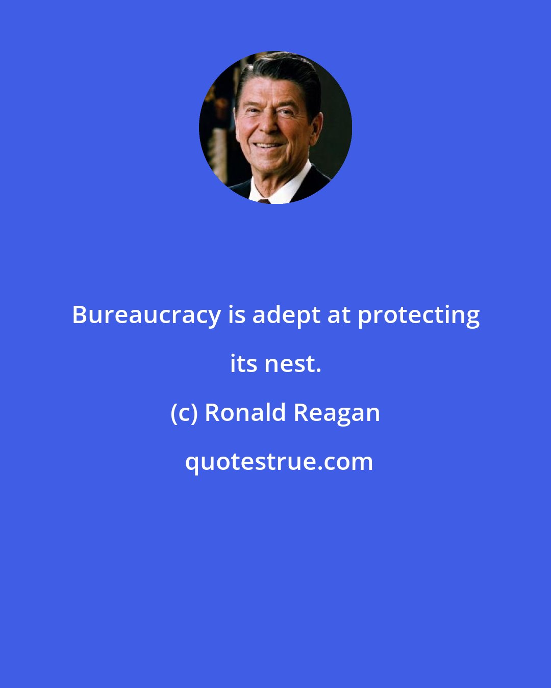 Ronald Reagan: Bureaucracy is adept at protecting its nest.