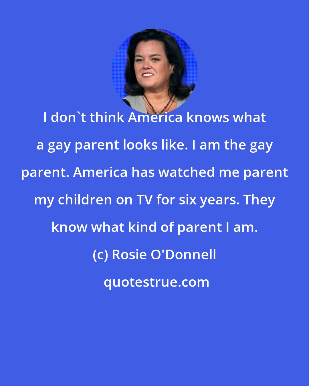 Rosie O'Donnell: I don't think America knows what a gay parent looks like. I am the gay parent. America has watched me parent my children on TV for six years. They know what kind of parent I am.