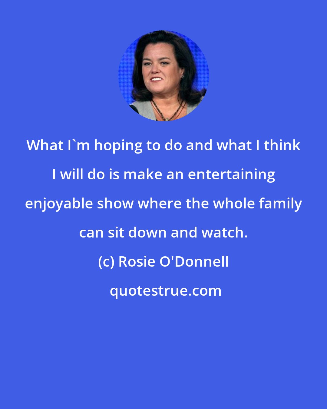 Rosie O'Donnell: What I'm hoping to do and what I think I will do is make an entertaining enjoyable show where the whole family can sit down and watch.
