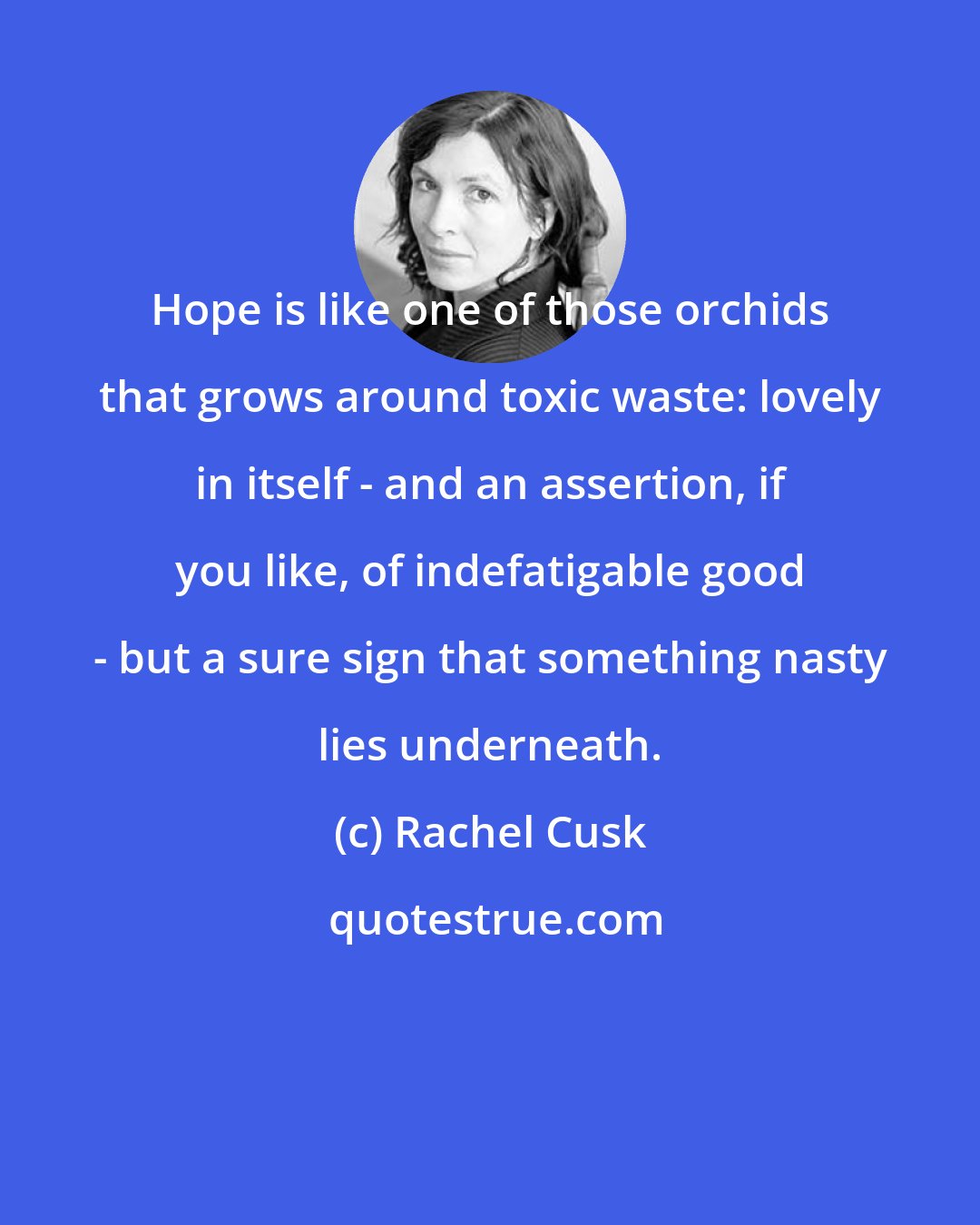 Rachel Cusk: Hope is like one of those orchids that grows around toxic waste: lovely in itself - and an assertion, if you like, of indefatigable good - but a sure sign that something nasty lies underneath.