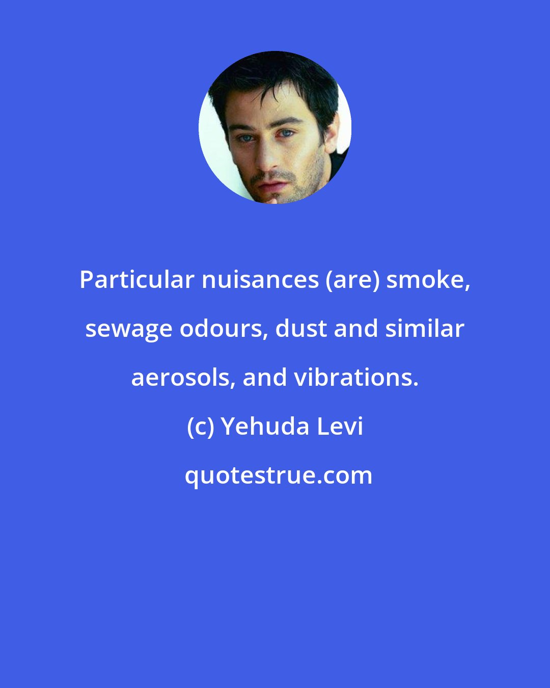 Yehuda Levi: Particular nuisances (are) smoke, sewage odours, dust and similar aerosols, and vibrations.