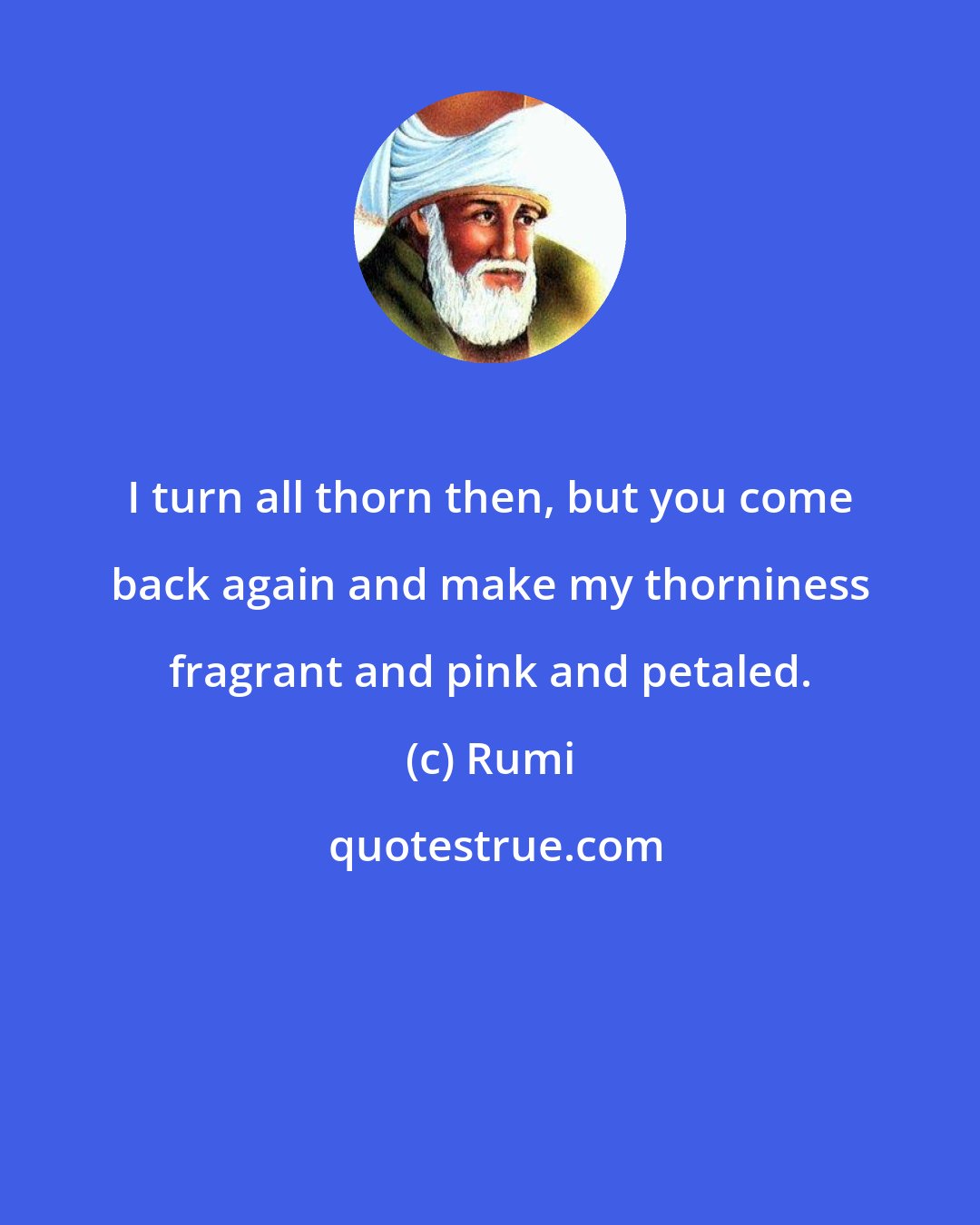 Rumi: I turn all thorn then, but you come back again and make my thorniness fragrant and pink and petaled.