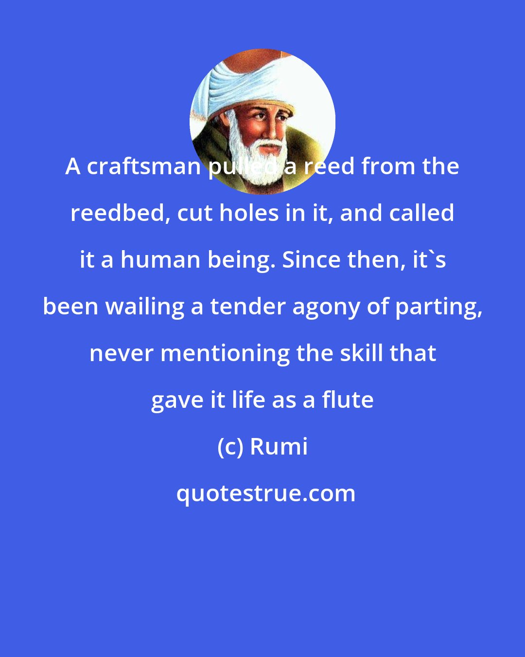 Rumi: A craftsman pulled a reed from the reedbed, cut holes in it, and called it a human being. Since then, it's been wailing a tender agony of parting, never mentioning the skill that gave it life as a flute