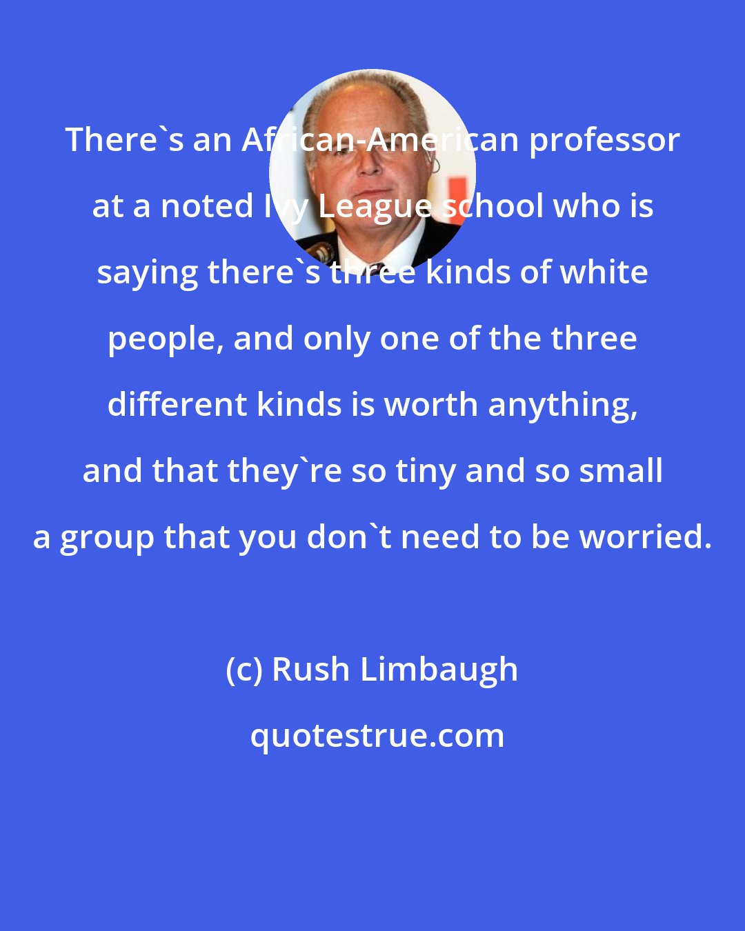 Rush Limbaugh: There's an African-American professor at a noted Ivy League school who is saying there's three kinds of white people, and only one of the three different kinds is worth anything, and that they're so tiny and so small a group that you don't need to be worried.