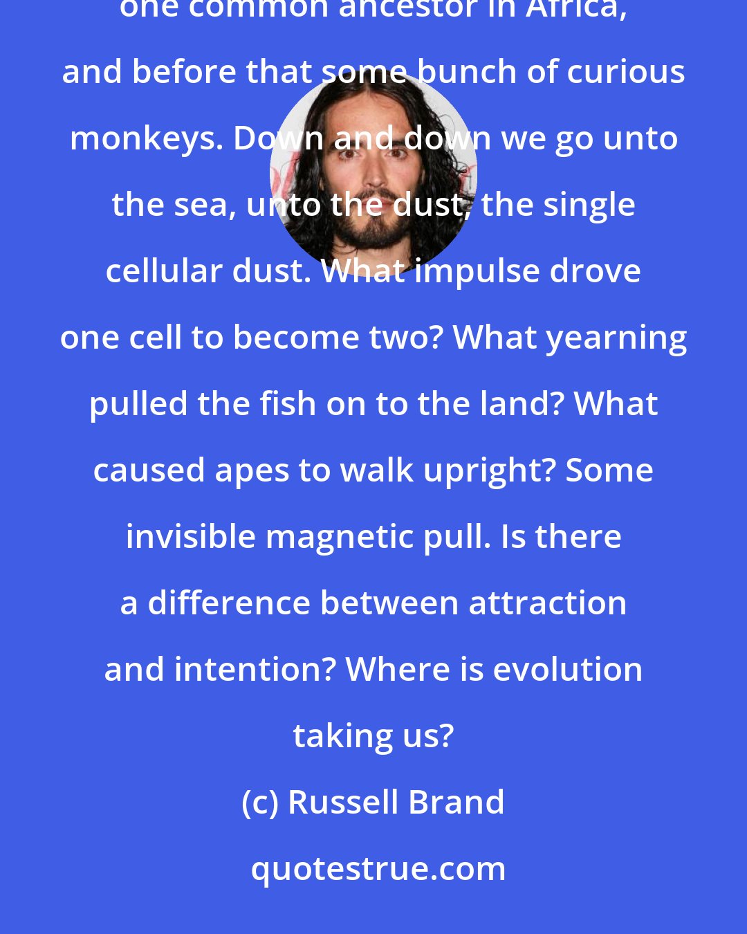 Russell Brand: Then, of course, through the umbilical link we all tumble backwards down the spiralling DNA staircase to one common ancestor in Africa, and before that some bunch of curious monkeys. Down and down we go unto the sea, unto the dust, the single cellular dust. What impulse drove one cell to become two? What yearning pulled the fish on to the land? What caused apes to walk upright? Some invisible magnetic pull. Is there a difference between attraction and intention? Where is evolution taking us?