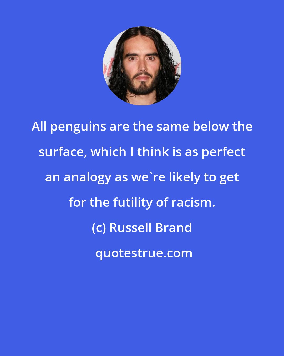 Russell Brand: All penguins are the same below the surface, which I think is as perfect an analogy as we're likely to get for the futility of racism.