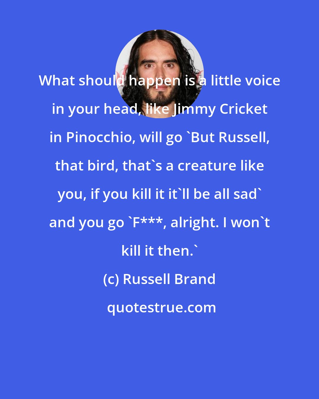 Russell Brand: What should happen is a little voice in your head, like Jimmy Cricket in Pinocchio, will go 'But Russell, that bird, that's a creature like you, if you kill it it'll be all sad' and you go 'F***, alright. I won't kill it then.'