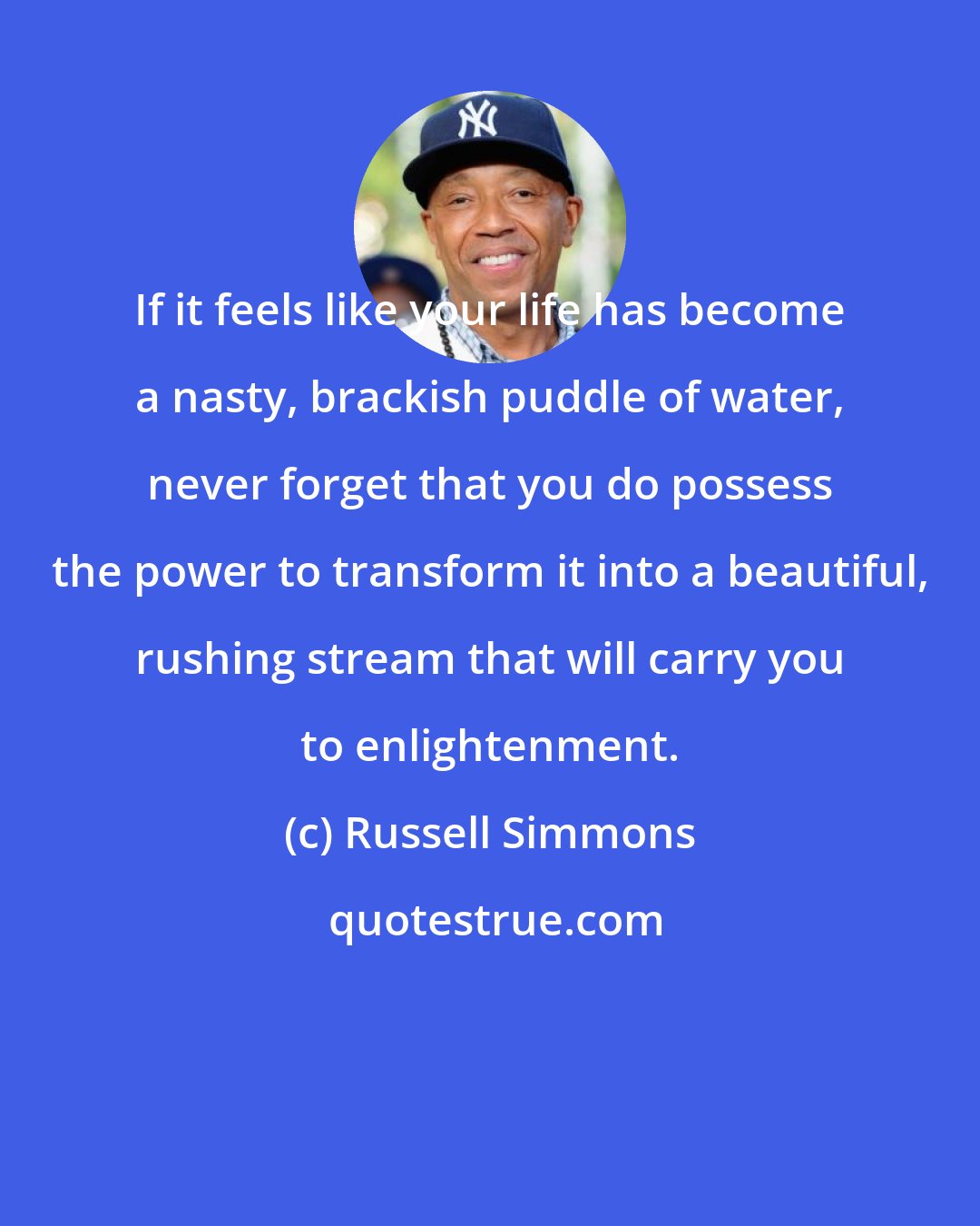 Russell Simmons: If it feels like your life has become a nasty, brackish puddle of water, never forget that you do possess the power to transform it into a beautiful, rushing stream that will carry you to enlightenment.