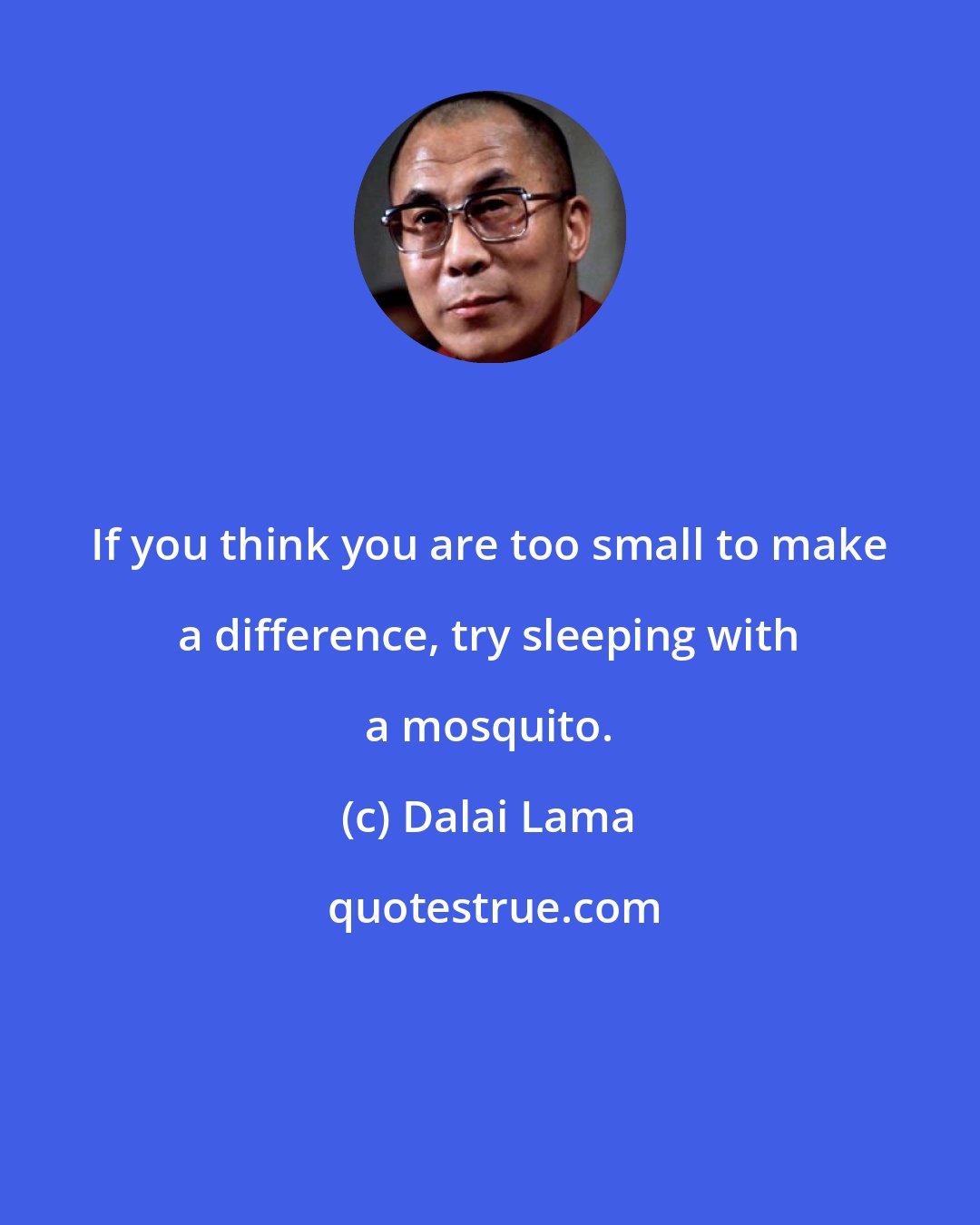 Dalai Lama: If you think you are too small to make a difference, try sleeping with a mosquito.