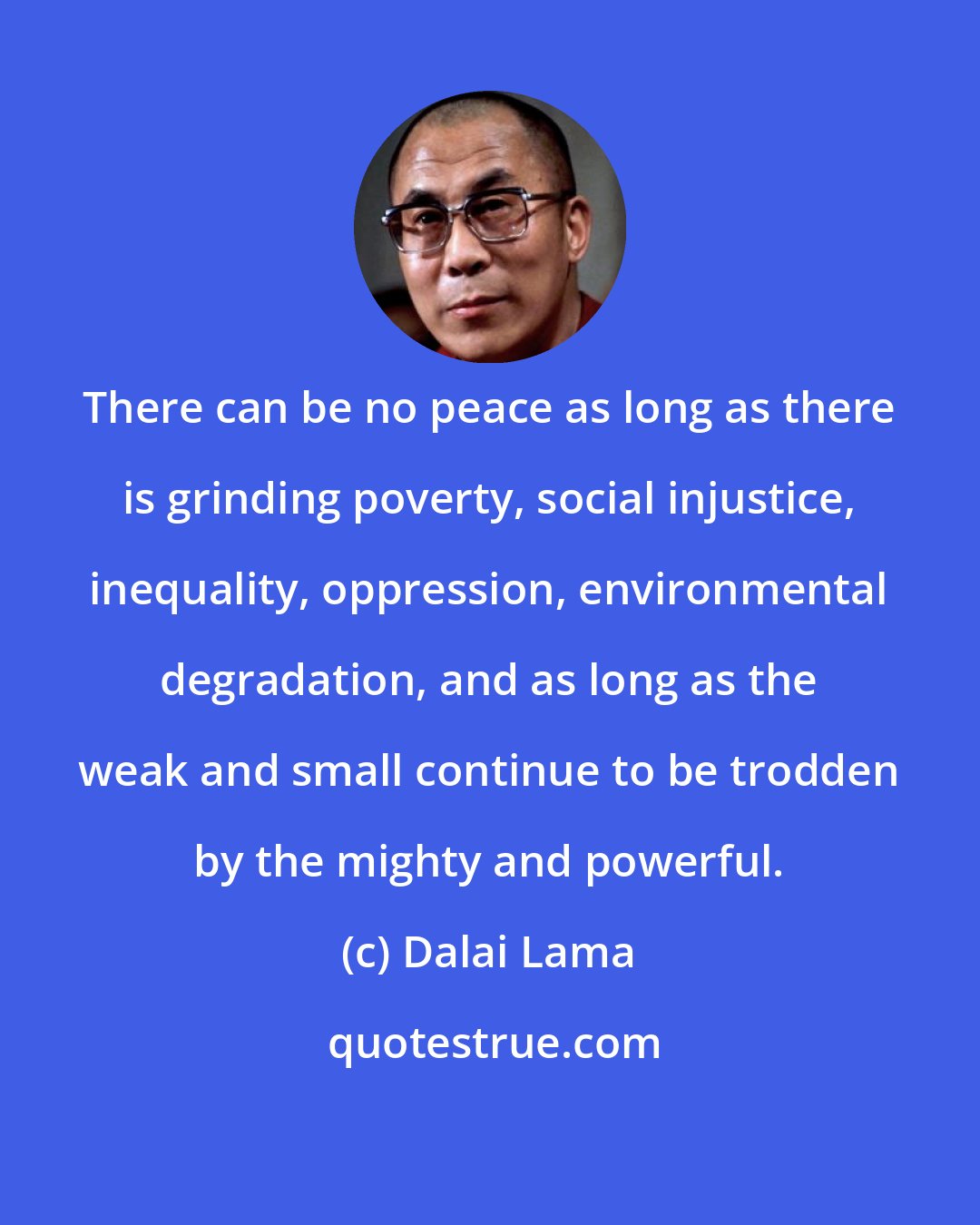 Dalai Lama: There can be no peace as long as there is grinding poverty, social injustice, inequality, oppression, environmental degradation, and as long as the weak and small continue to be trodden by the mighty and powerful.