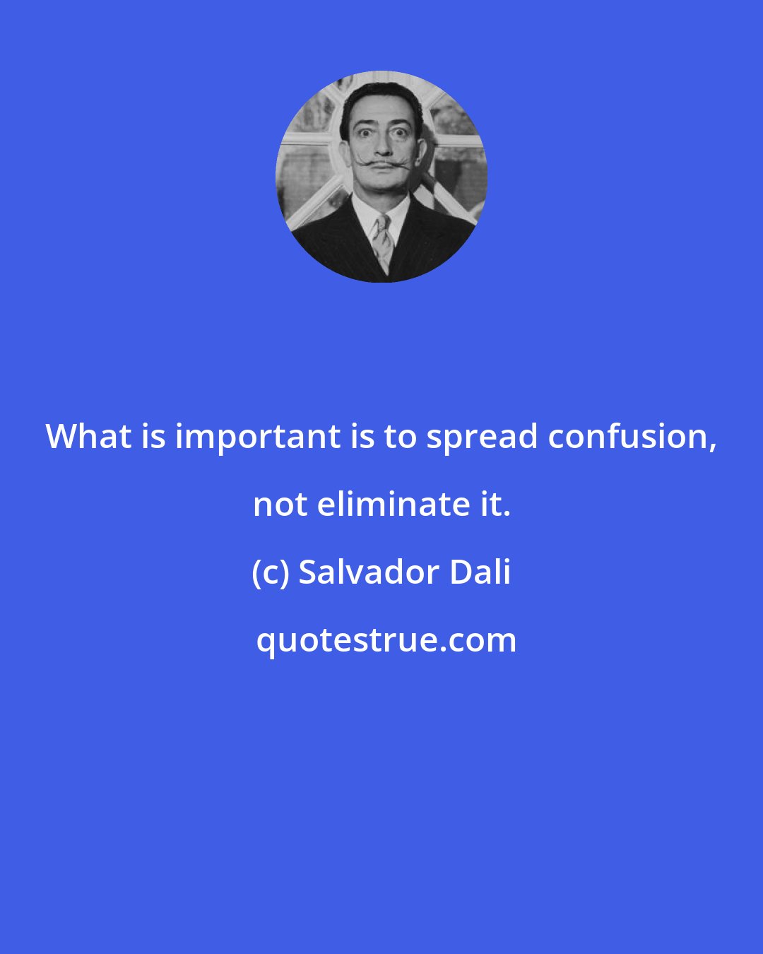 Salvador Dali: What is important is to spread confusion, not eliminate it.