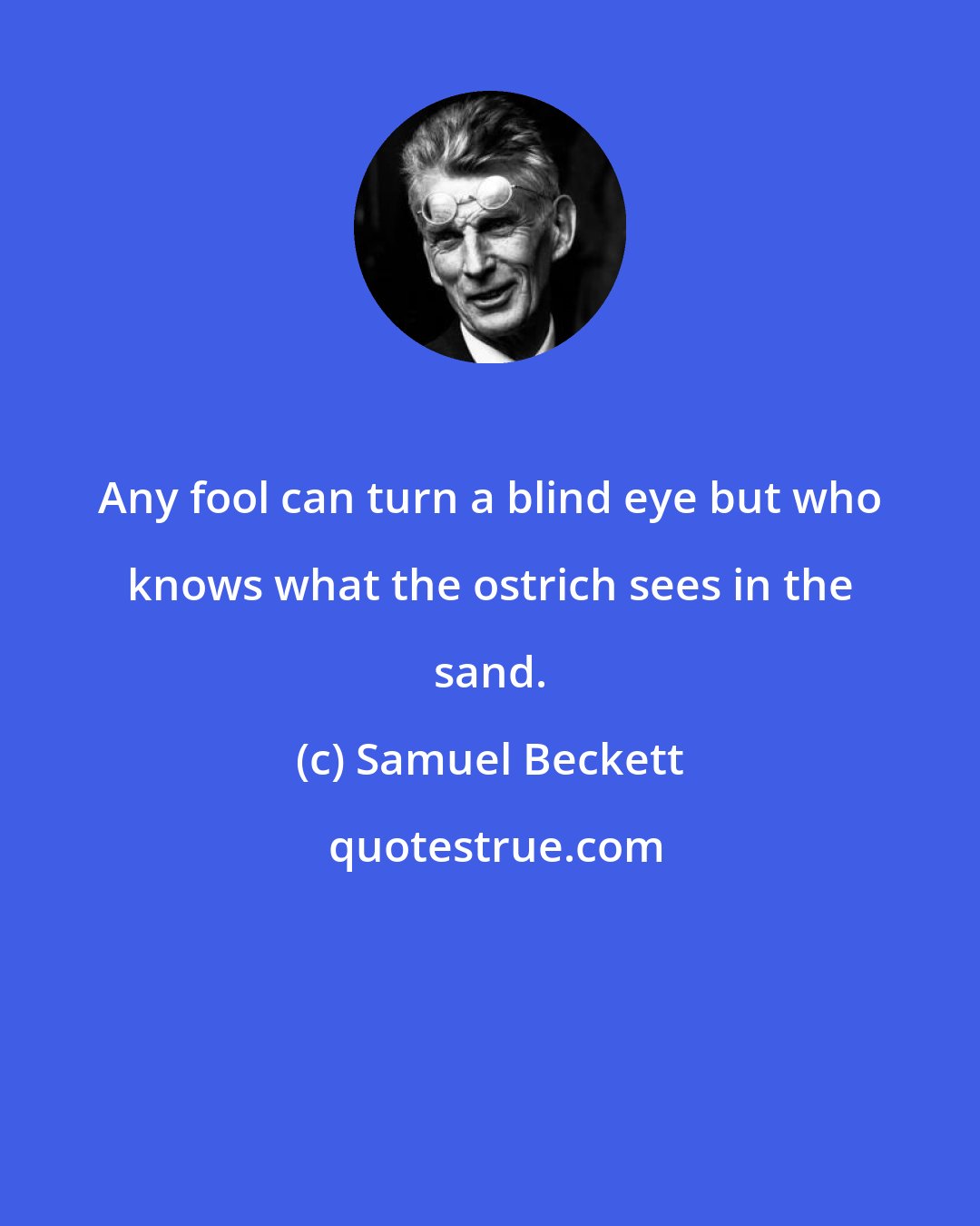 Samuel Beckett: Any fool can turn a blind eye but who knows what the ostrich sees in the sand.