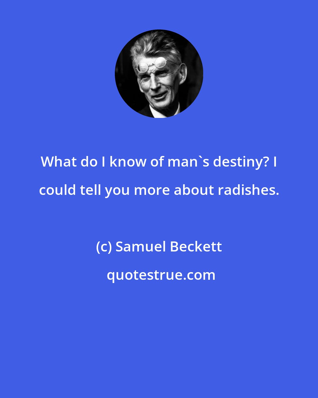 Samuel Beckett: What do I know of man's destiny? I could tell you more about radishes.