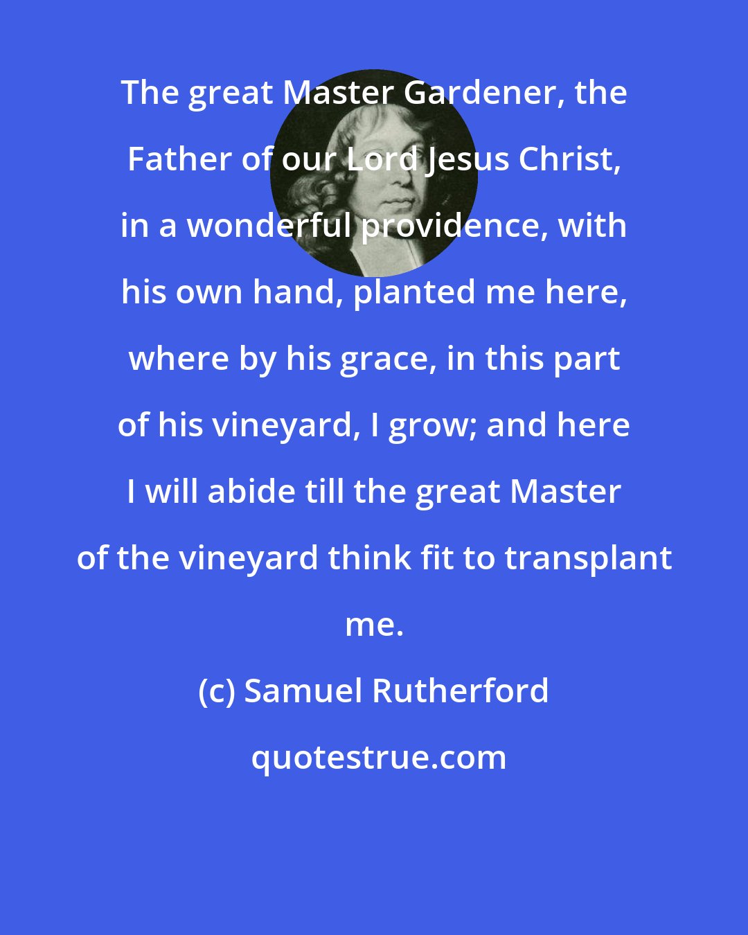 Samuel Rutherford: The great Master Gardener, the Father of our Lord Jesus Christ, in a wonderful providence, with his own hand, planted me here, where by his grace, in this part of his vineyard, I grow; and here I will abide till the great Master of the vineyard think fit to transplant me.